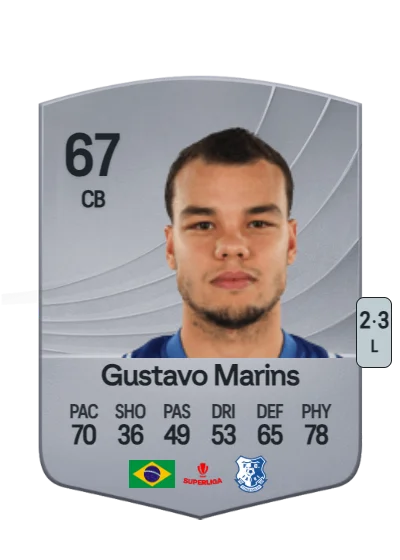 Gustavo Marins Silva card
