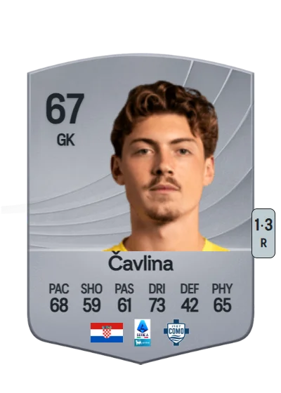Nikola Čavlina card