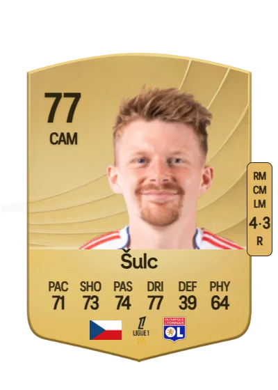 Pavel Šulc card