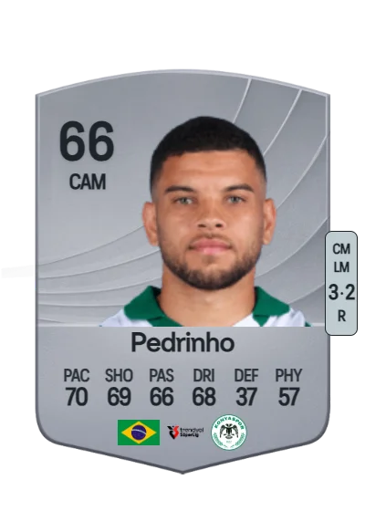 Pedrinho dos Santos card
