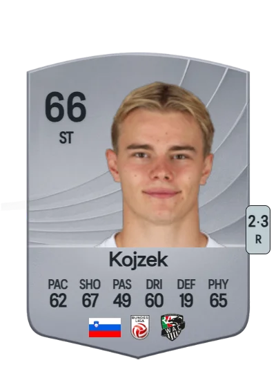 Erik Kojzek card