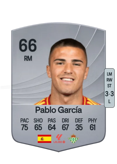 Pablo García Fernández card