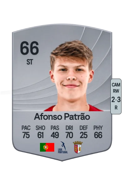 Afonso da Cruz Patrão card