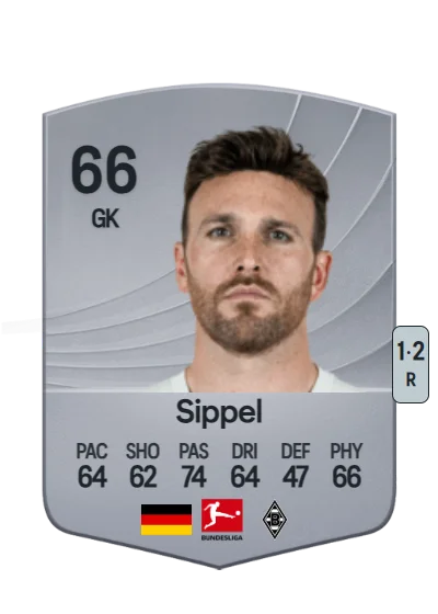Tobias Sippel card
