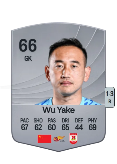 Yake Wu card