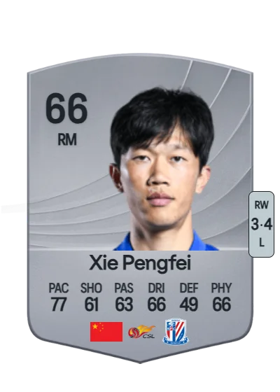 Pengfei Xie card