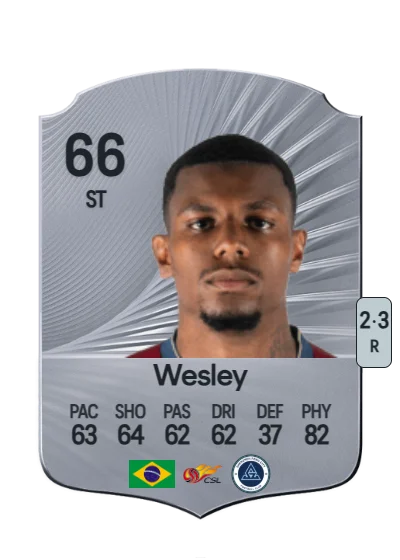Wesley Moraes Ferreira da Silva card