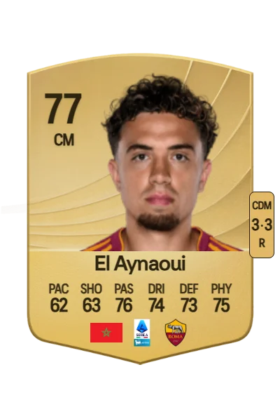 Neil El Aynaoui card