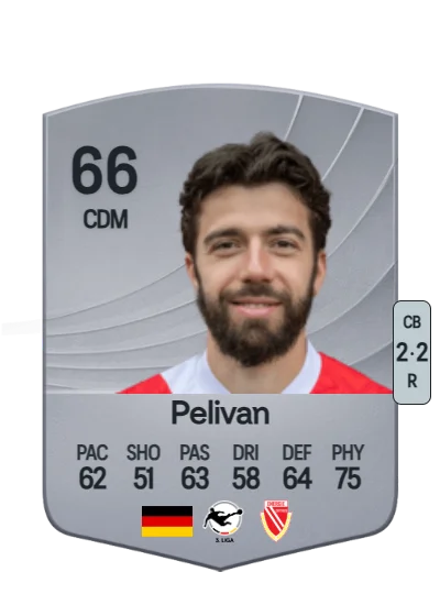 Dominik Pelivan card