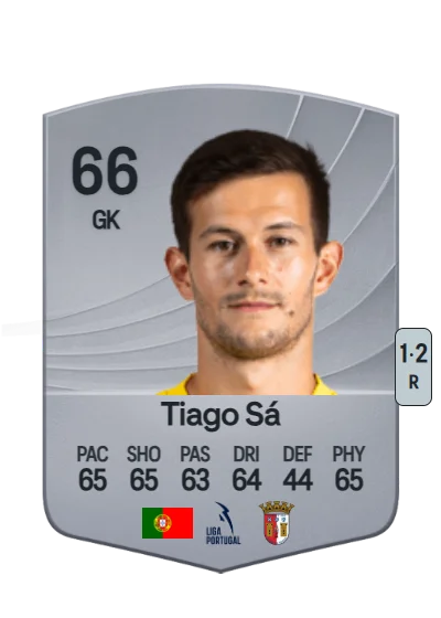 Tiago Magalhães de Sá card
