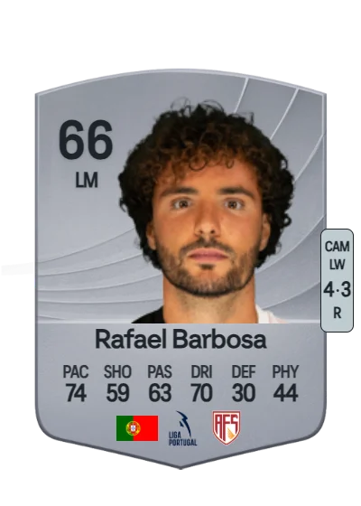 Rafael Avelino Pinto Barbosa card