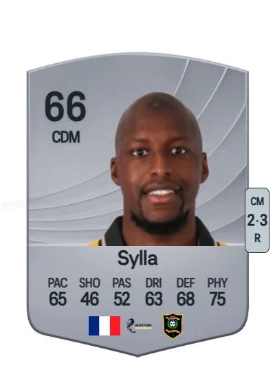 Mohamad Sylla card