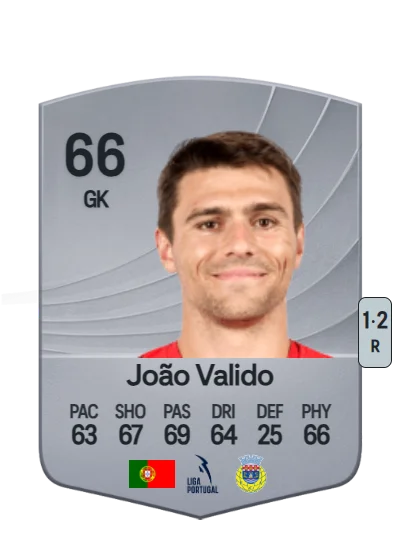 João Nuno Figueiredo Valido card