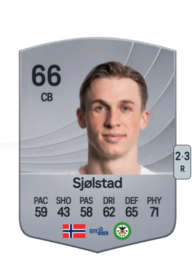 Fredrik Sjølstad card