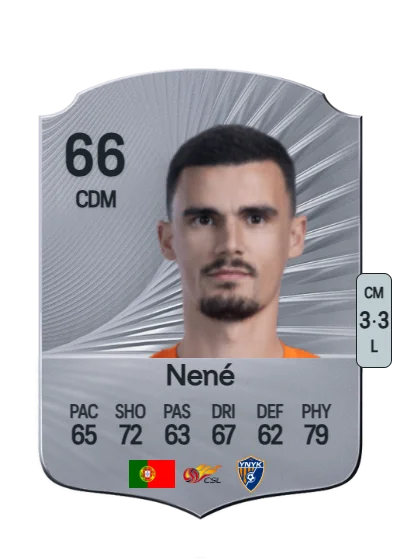 Rui F. da Cunha Correia card