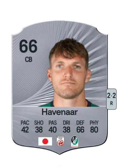Nikki Havenaar card