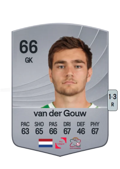 Ennio van der Gouw card