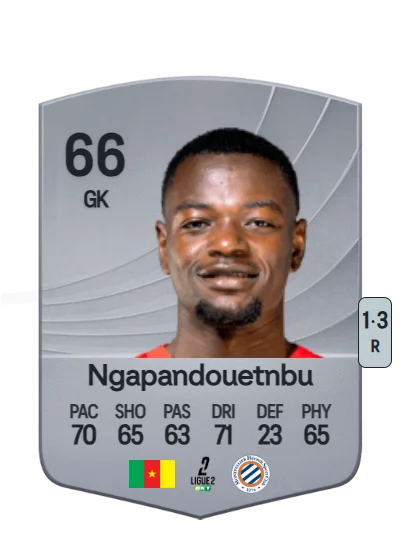 Simon Ngapandouetnbu card