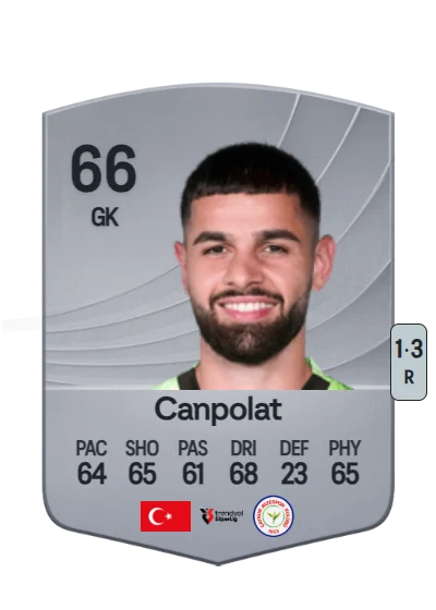 Erdem Canpolat card