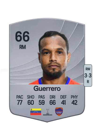 Raudy Guerrero card