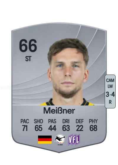 Robin Meißner card