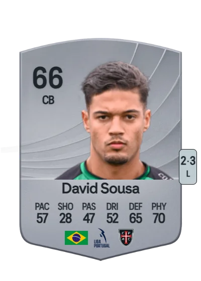 David Sousa Albino card