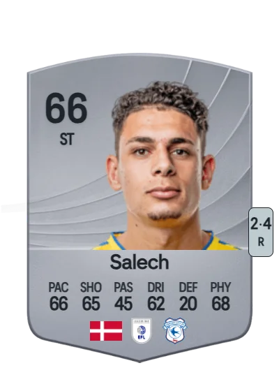 Yousef Salech card