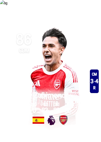 Martín Zubimendi Ibáñez card