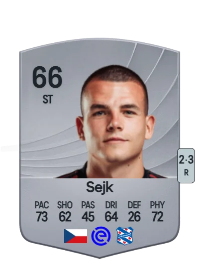 Václav Sejk card