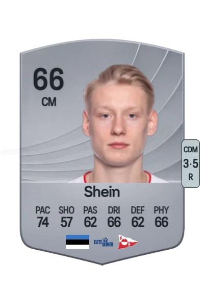 Rocco Robert Shein card