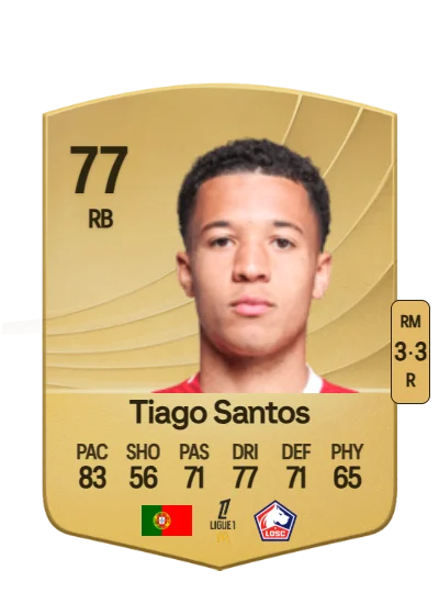 Tiago Carvalho Santos card