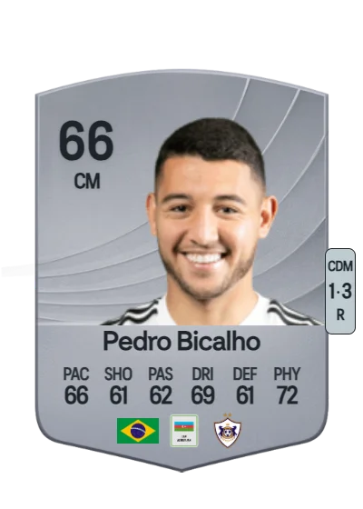 Pedro Henrique Rodrigues Bicalho card