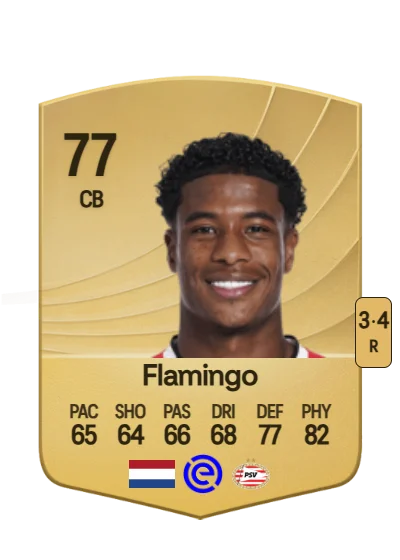 Ryan Flamingo card