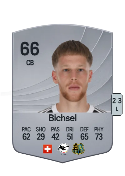 Joel Bichsel card