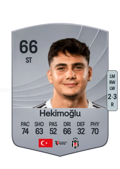 Mustafa Erhan Hekimoğlu card