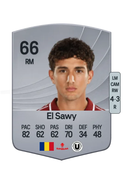 Omar El Sawy card