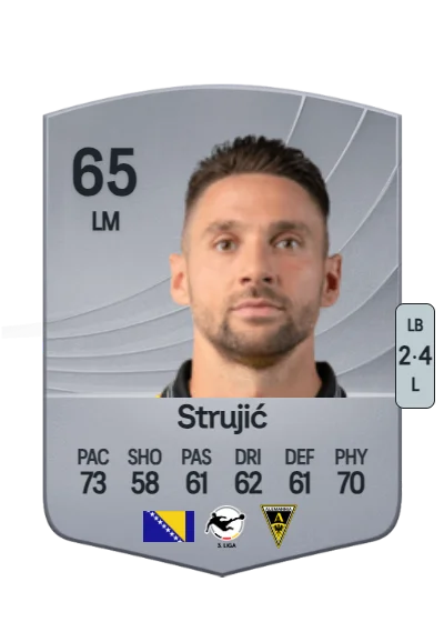 Saša Strujić card