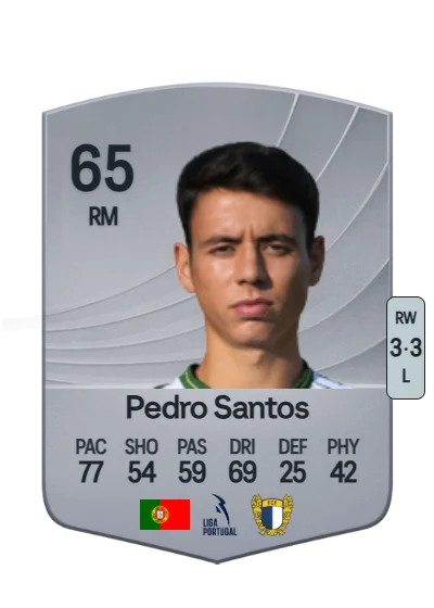 Pedro Miguel Costa Santos card