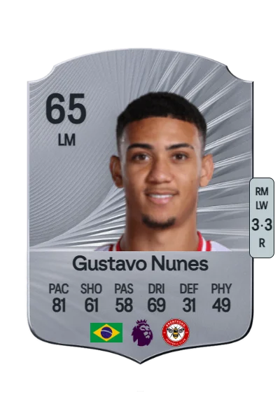 Gustavo Nunes Fernandes Gomes card