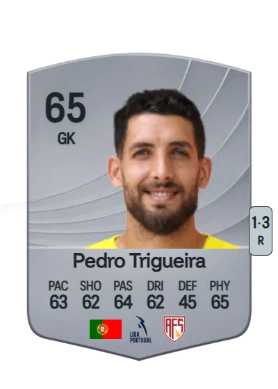 Pedro José da Silva Trigueira card