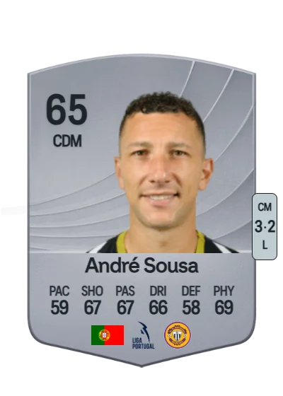 André Alexandre Carreira Sousa card