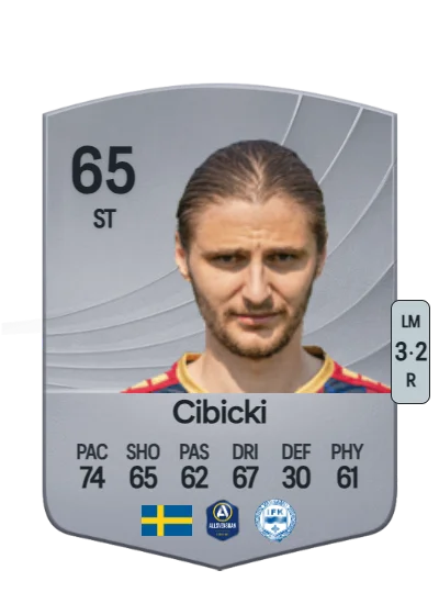 Paweł Cibicki card