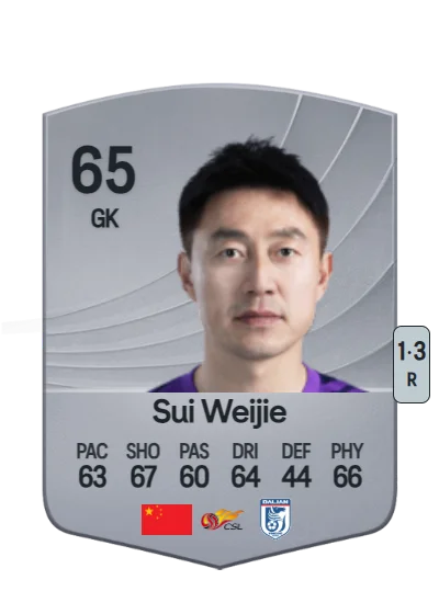Weijie Sui card