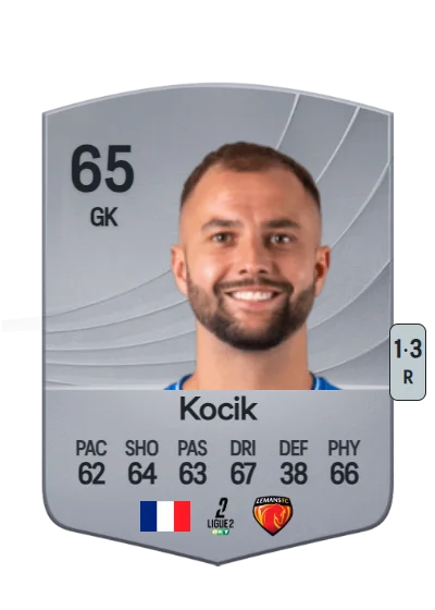 Nicolas Kocik card