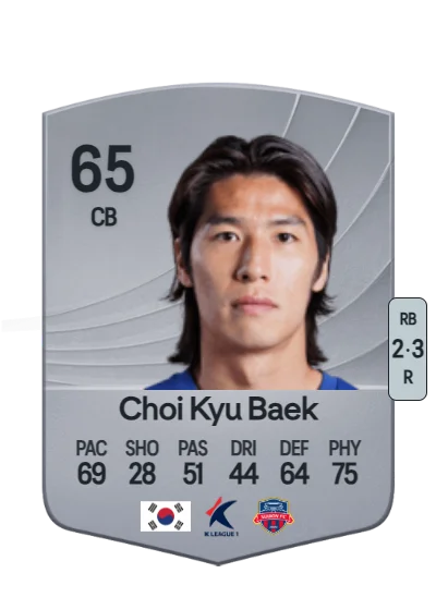 Kyu Baek Choi card