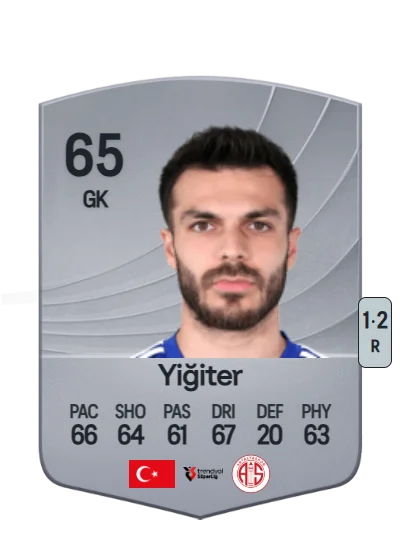 Abdullah Yiğiter card