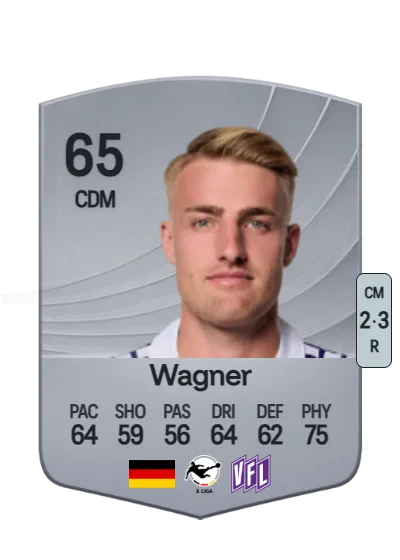 Fridolin Wagner card