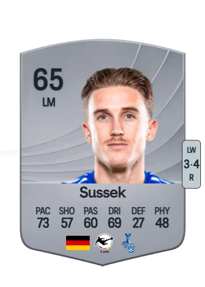 Patrick Sussek card