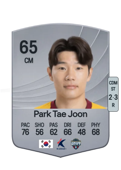 Tae Joon Park card