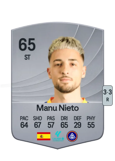 Manuel Nieto Sánchez card